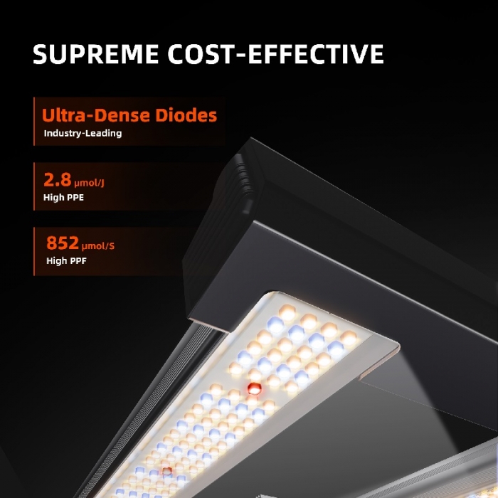 2025 New Version | Spider Farmer® G3000 300W WiFi & Bluetooth App-Controlled LED | Full Spectrum